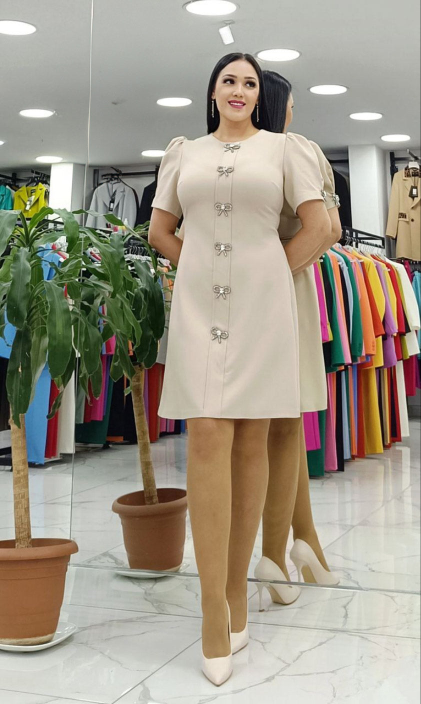Elegant A-Line Dress